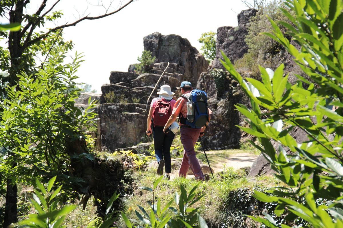 B&B Le Saut De La Bergere オーバジーヌ エクステリア 写真