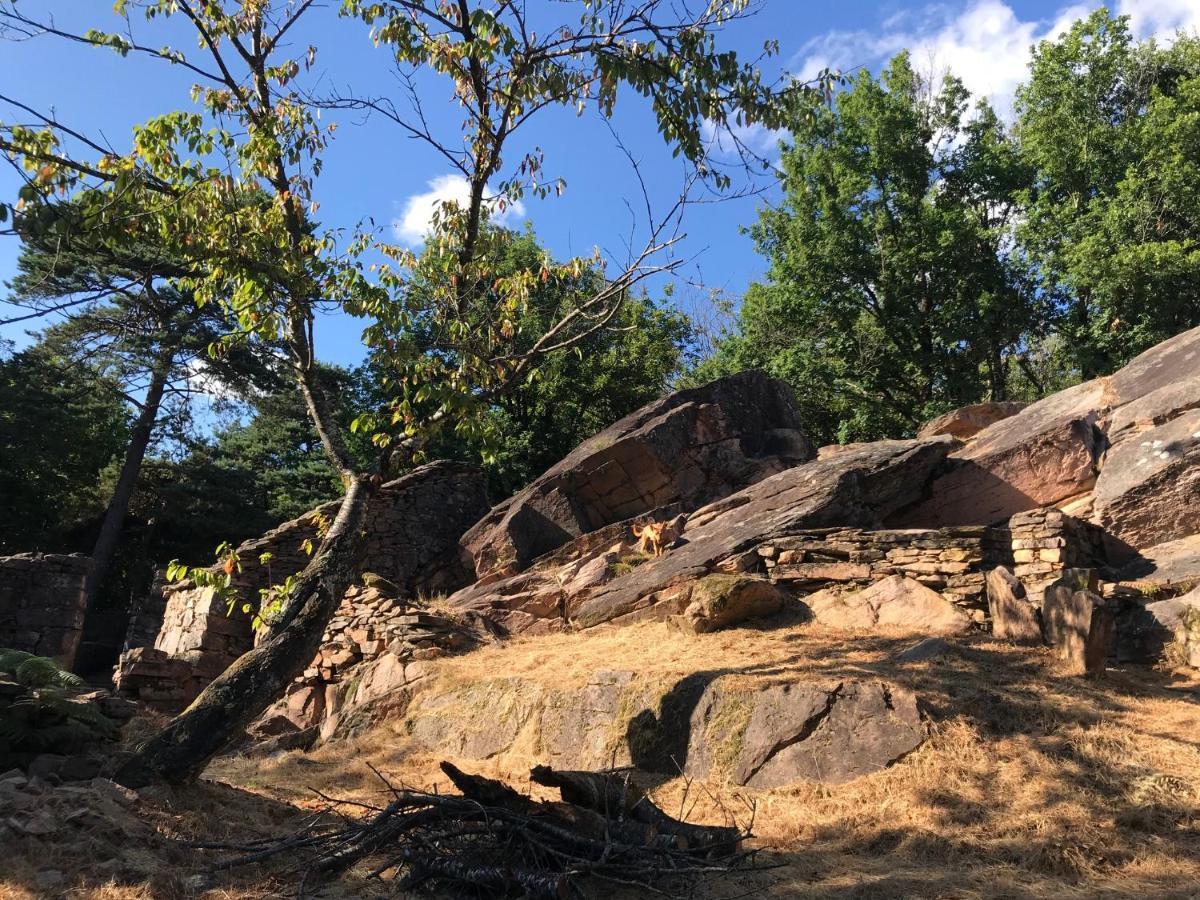 B&B Le Saut De La Bergere オーバジーヌ エクステリア 写真