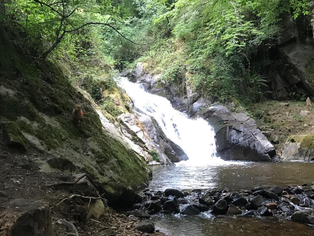 B&B Le Saut De La Bergere オーバジーヌ エクステリア 写真